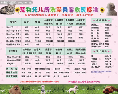 宠物店美容价目表图片