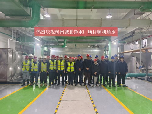 中建八局一公司杭州城北净水厂项目顺利通水
