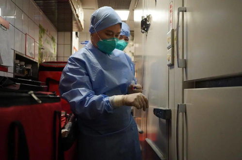 服务保障进博会,市场监管局的这份攻略请查收